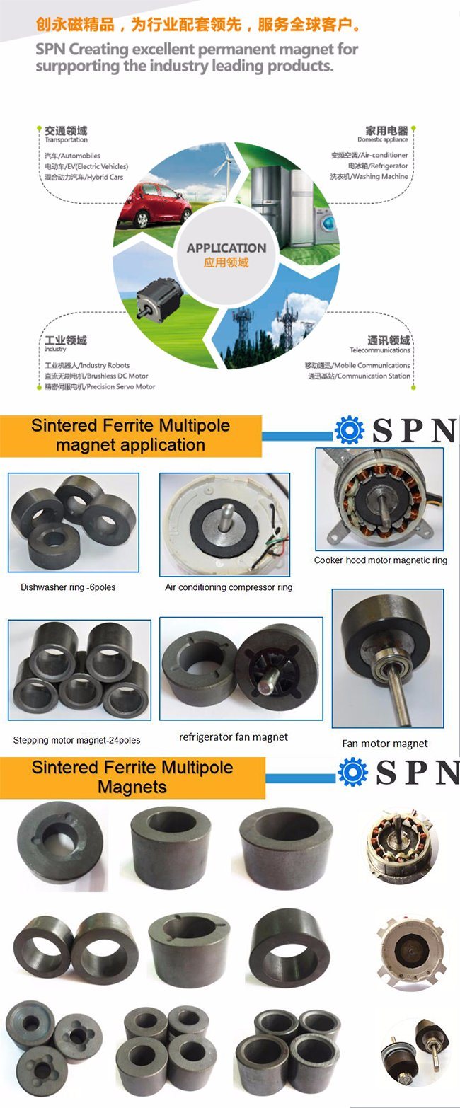 Permanent Ferrite Multipole Magnet Rings for Motors