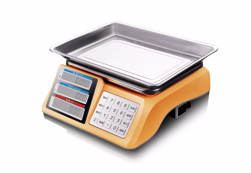 Electronic Price Computing Scale Electronic Balance Electronic Scale (DH-608)