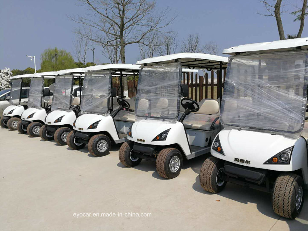 2 Seater Electric Golf Cart with Rear Bucket