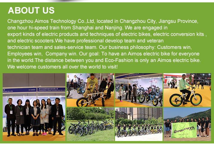 Customer Logo Supported 26 Inch 4.0 Fat Tyre 500W Electric Bike