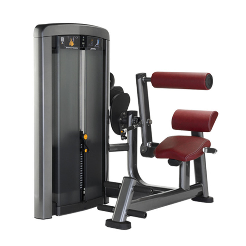 Gym Roman Chair Planet Fitness Back Extension Xh912