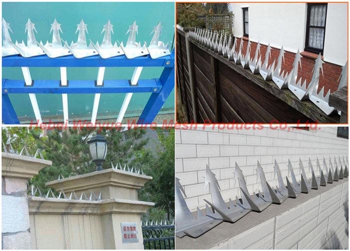 Galvanized Security Wall Razor Spikes for House