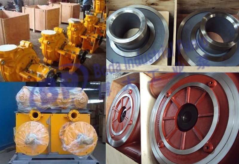 Ball Bearing, Auto Wheel Hub Bearing, Taper Roller Bearing, Cylindrical Roller Bearing