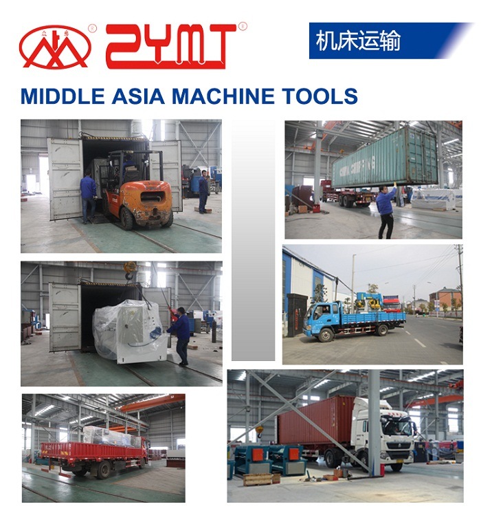 Shearing Machine Ras 8X4000mm / Heavy Duty Over Driven Machine Construction Cutting Machine