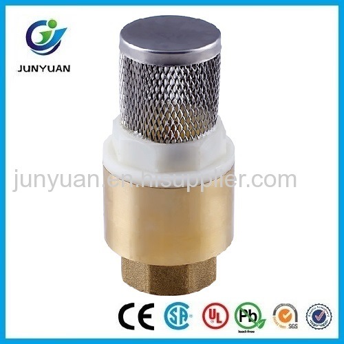 Brass Spring Swing Check Valve with ISO/ Brass Water Valve