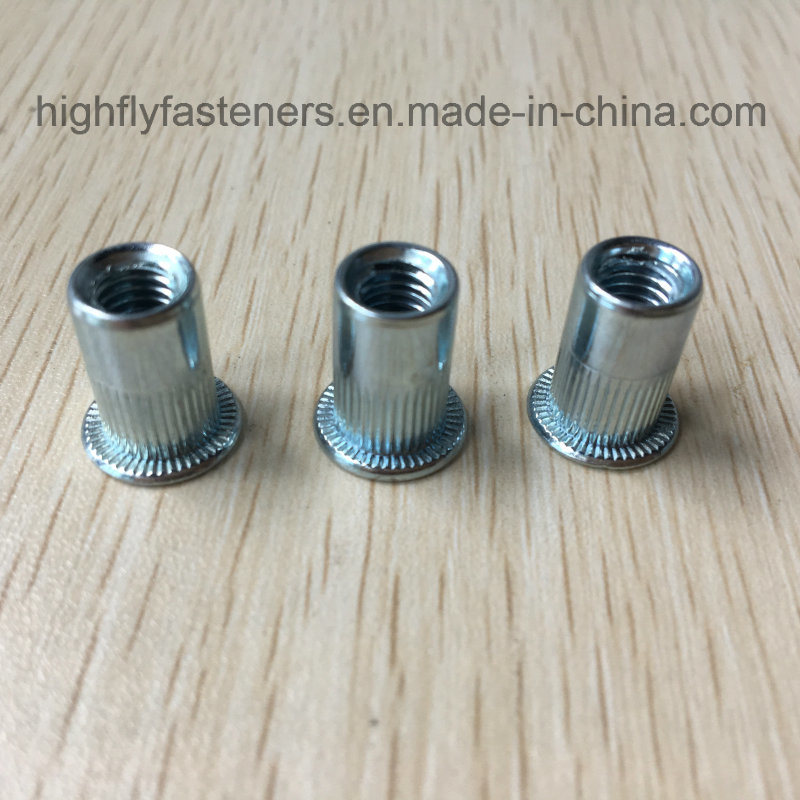 Blind Rivet Nut Galvanized