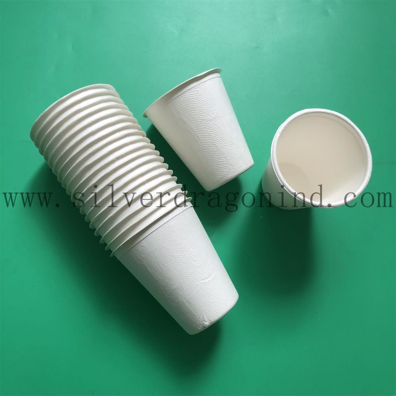 Compostable Sugarcane Pulp Paper Tray for Party