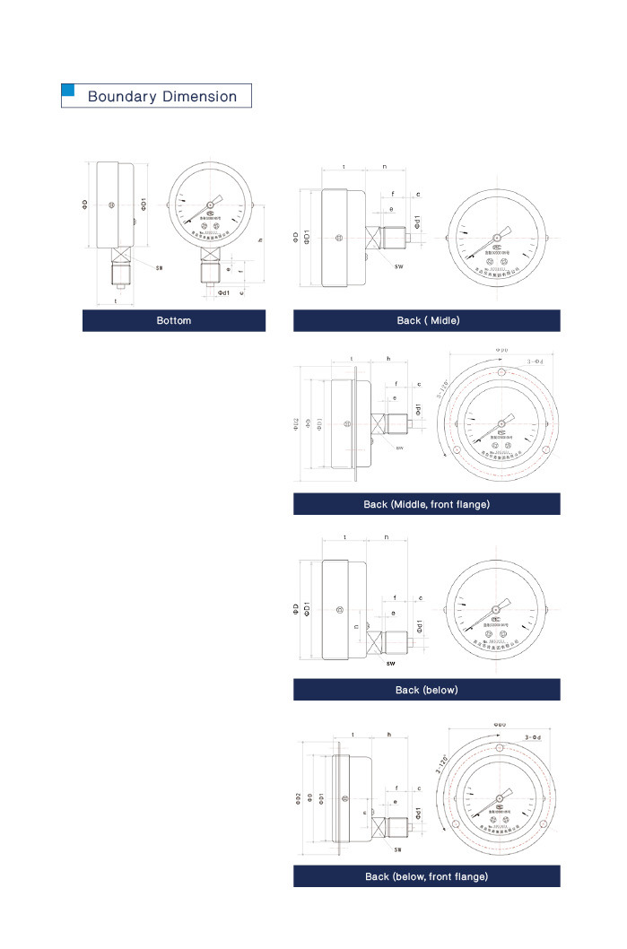 Wholesale New Design Stainless Pressure Gauge with Factory Price