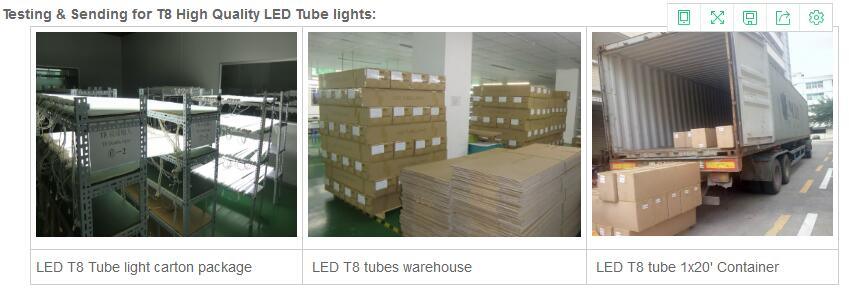 1.2m/1.5m DC12V/24V LED T8 Tube Light with G13 Sockets
