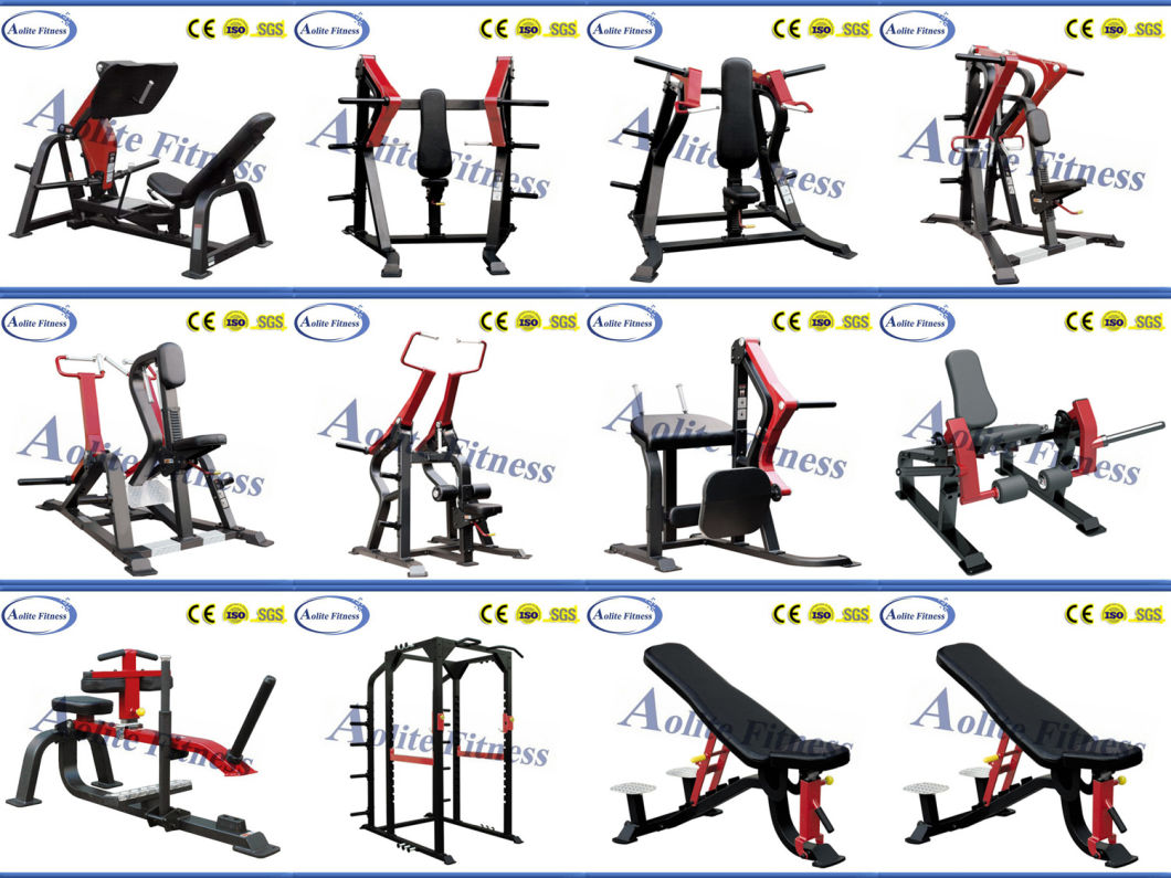 Commercial Gym Equipment / Fitness Equipment / Adjustable Roman Chair/ Fitness Equipmen/Gym Equipment