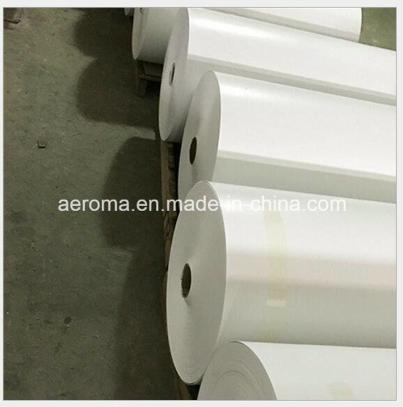 PP Polypropylene Belt Collecting Excrement Belt Chicken Raise Industry PP Tape