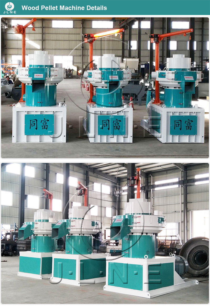 Wood Pelle Mill Biomass Sawdust/Rice Husk/Straw Pellet Machine