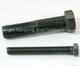 Plain Hex Cap Head Bolt with Stainless Steel