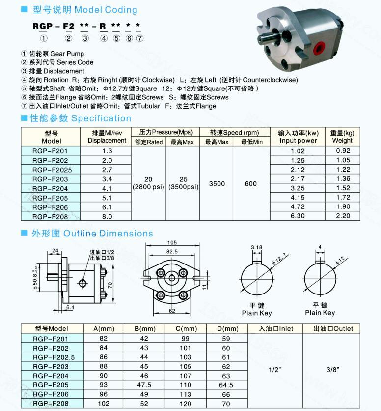 The Rgp-F200 Series Is Used in The Micro Hydraulic Station and The Industrial Hydraulic Machinery European Hydraulic Mechanical Screw Pump.
