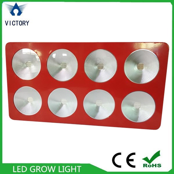 LED Grow Light Manufacture 300W 450W 600W 1200W COB LED Grow Light for Greenhouse and Tent