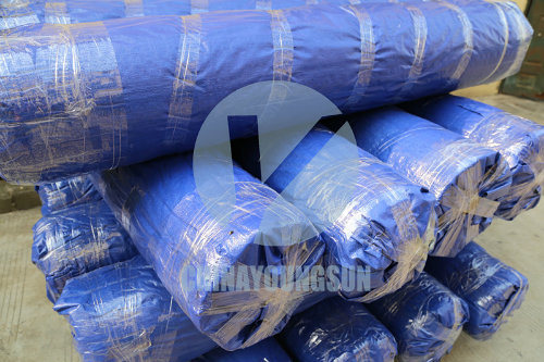 PTFE Teflon Coated Mesh Conveyor Belt