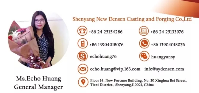 Densen Customized Stainless Steel 316 Investment Casting 2 PCS Ball Valve