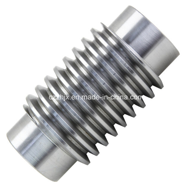 Transmission Parts Made of Worm and Worm Gear