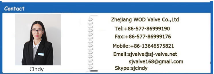 Ss 304 316 Wafer Check Valve