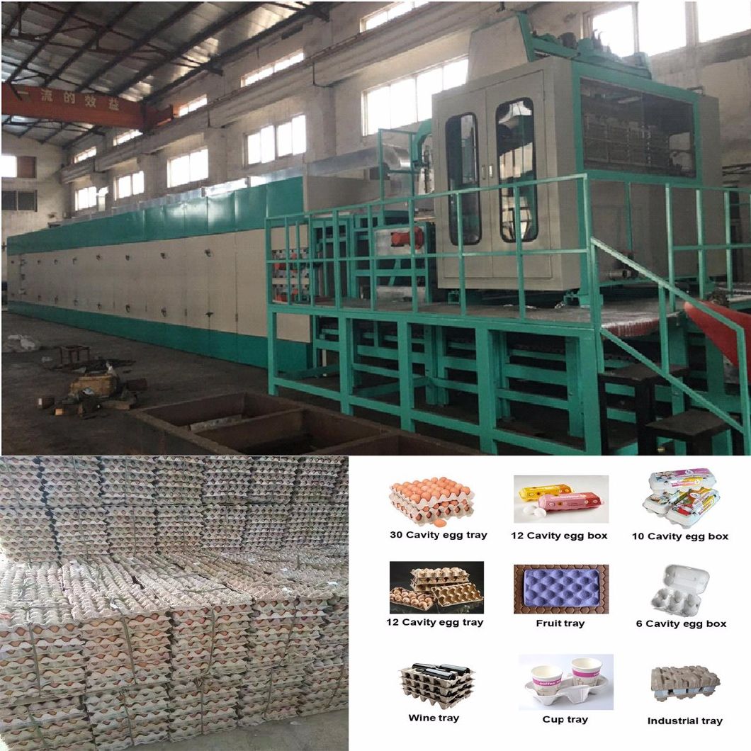 Paper Mill Pulp Egg Box Egg Tray Fruit Tray Forming Making Molding Machine