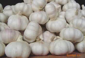Selling The White Garlic with Good Quality