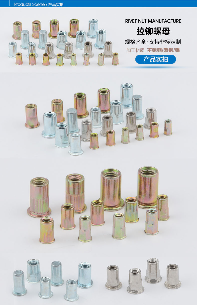 Stainless Steel Reduce Head Round Body Plain Rivet Nuts