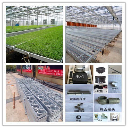 Traditional and Classic Large Multi-Span Glass Greenhouse Project for Ecological Agriculture Tourism and Entertainment
