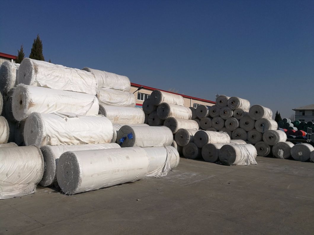 HDPE Tarpaulin for Ground Cover Manufacturer