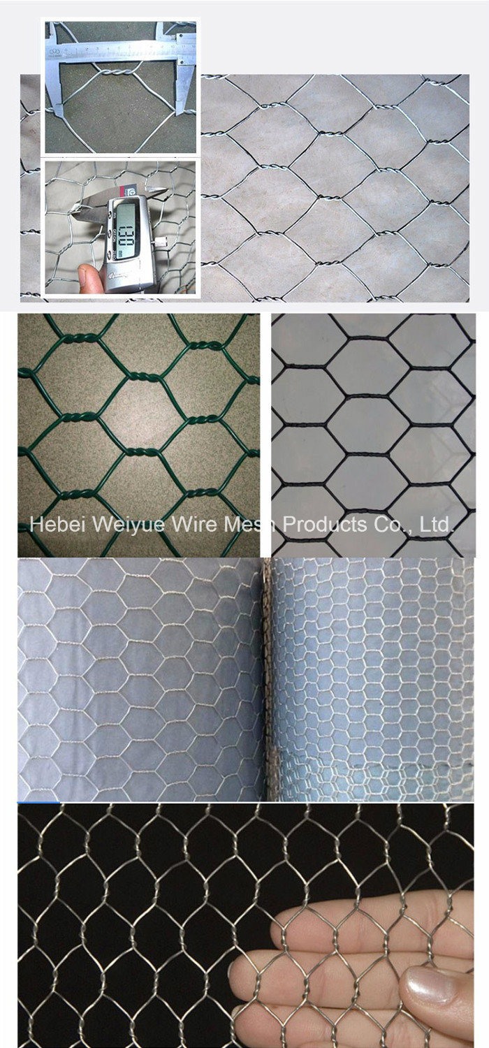 Stainless Steel Hot Dipped Galvanized Hexagonal Wire Netting/Mesh