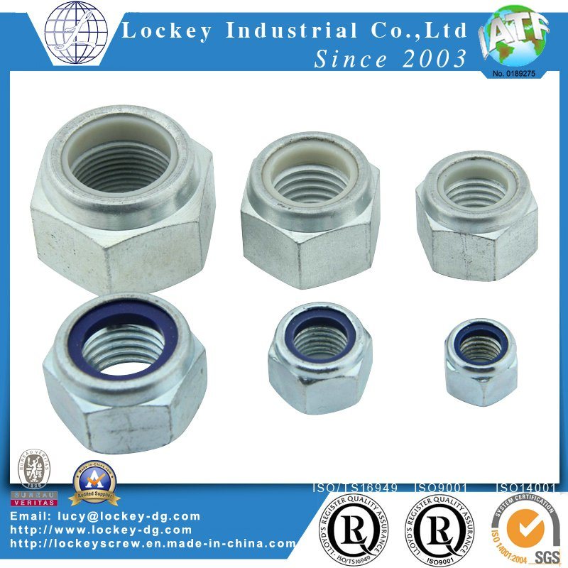 Stainless Steel 316 Nylon Nut