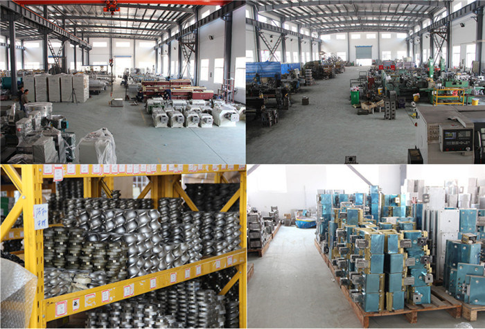 China Haisi Factory Based Plastic /Vinyl/PVC Twin Screw Extrusions Machine Tse-30