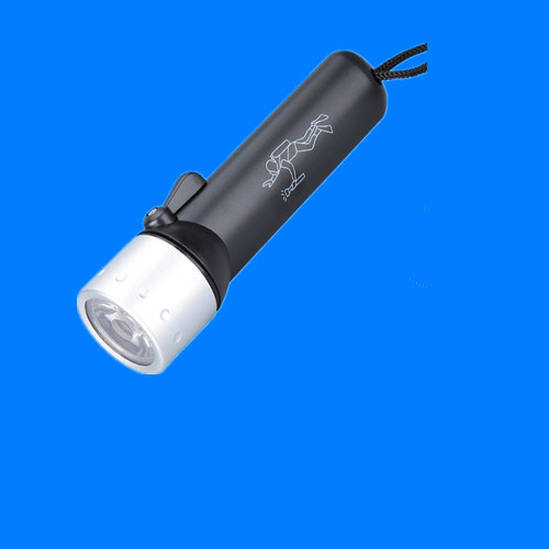 Ultraviolet Torch Light