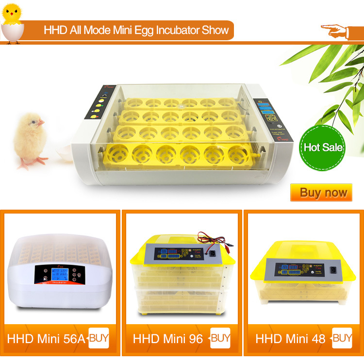 Hhd Automatic Temperature Control 4 PCS Automatic Egg Incubator