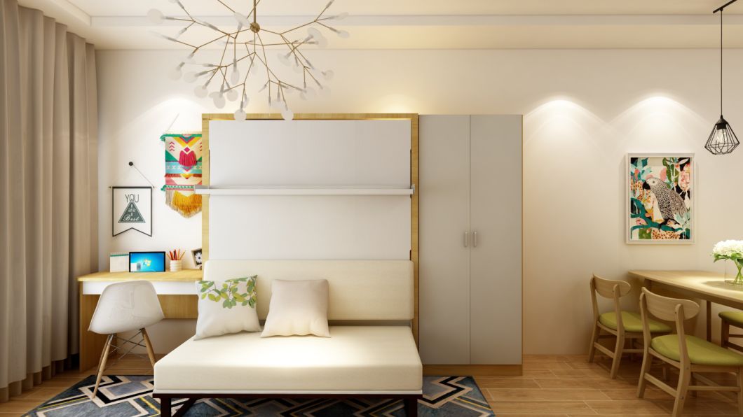 Modern Murphy Bed with Bookshelf and Sofa