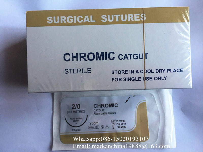 Absorbable Surgical Suture Chromic Catgut