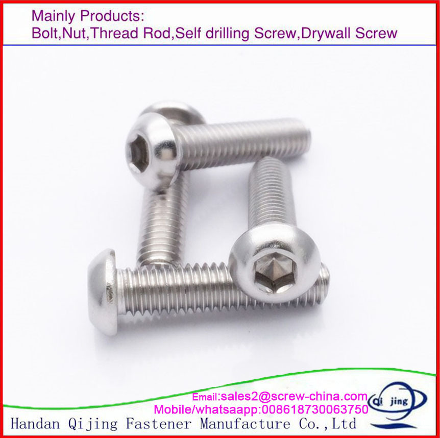 Wood Screw Drywall Screw /Self Tapping Screw Self Drilling Screw