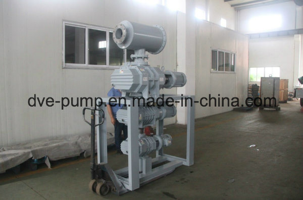 Rotary Piston Vacuum Pump Springs