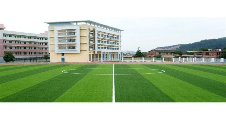 Strong Dyeing Fastness Sports Carpet Sports Artificial Grass