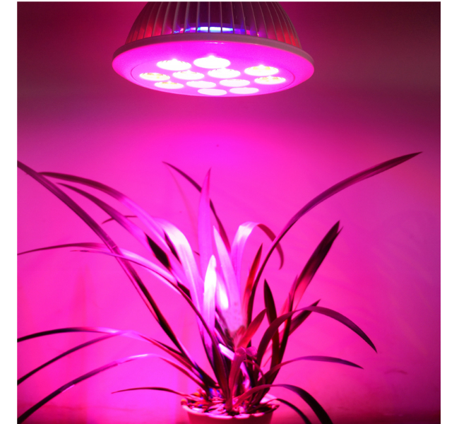 Energy-Saving High Quality LED Grow Light for Hydroponics