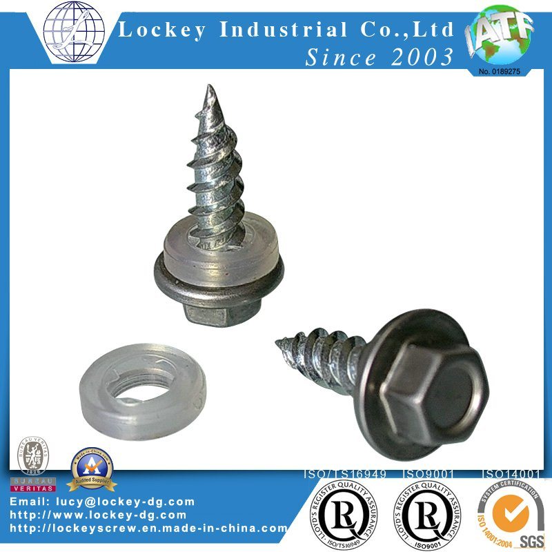 Stainless Steel 304 Hex Head Self Drilling Tapping Screw with Boned Washer
