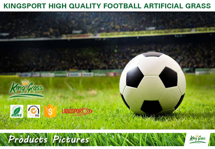 Soccer/Football Artificial Grass in Cheapest Price Artificial Turf Artificial Turf