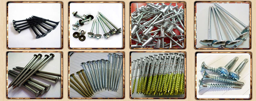 Modified Truss Head Wafer Head Self Drilling Screws