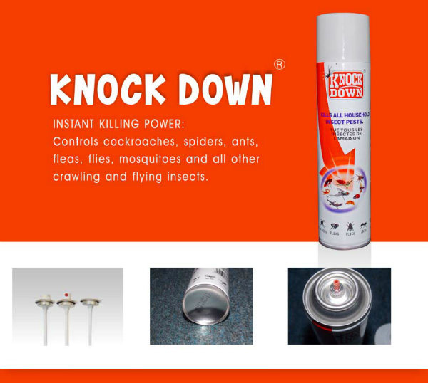 Hot Sale Aerosol Mosquito Spray, Fly and Cockroach Insect Killer Spray Effective Products