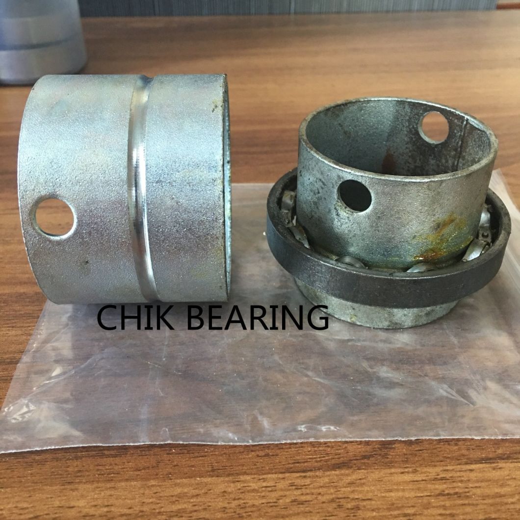 Shutter Door Bearing 6010 Bearing for Southeast Asia / Egypt Market