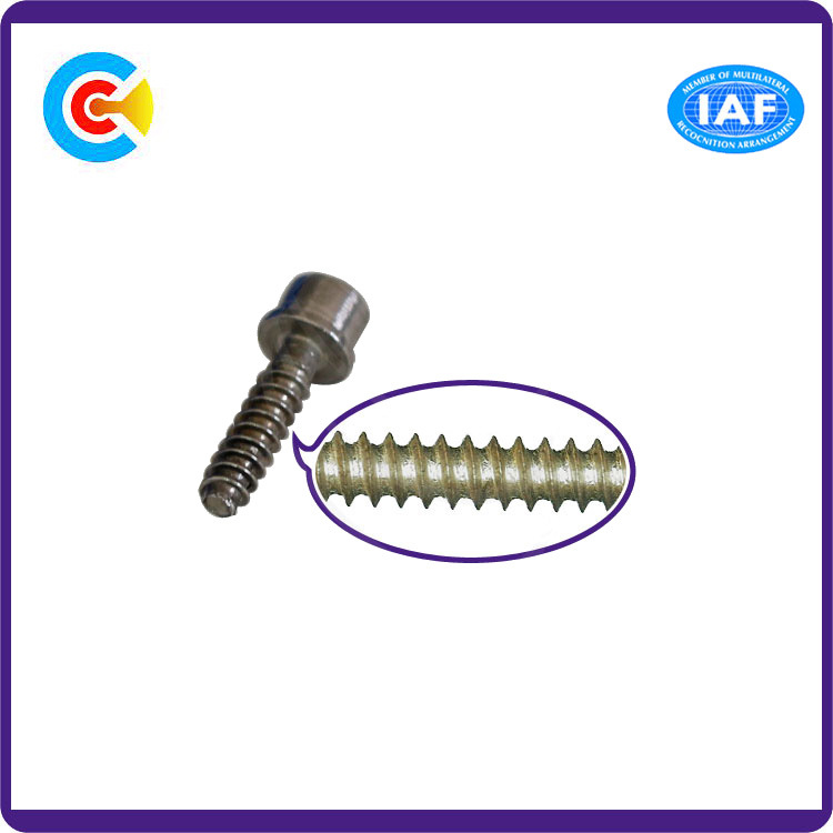Steel/4.8/8.8/10.9 Hexagon Cheese Head Inch Self Tapping Screw with Washer