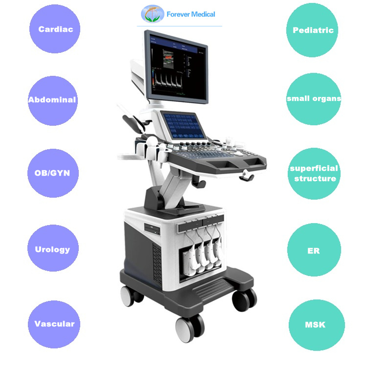 Ce Approved Trolley 4D Color Doppler Ultrasound Scanner for Gynecology