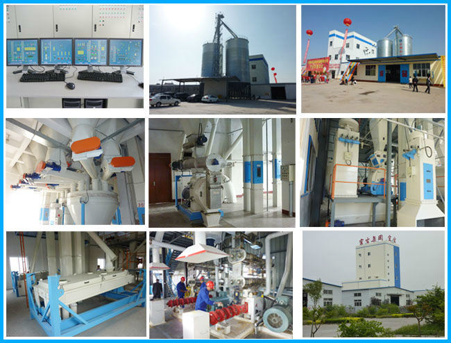 Granulator Extruder Machine for Fish Feed Corn Silage