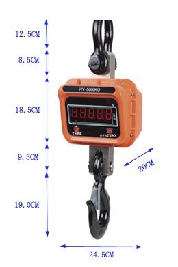 Industrial Electronic Digital Weighing Crane Scale