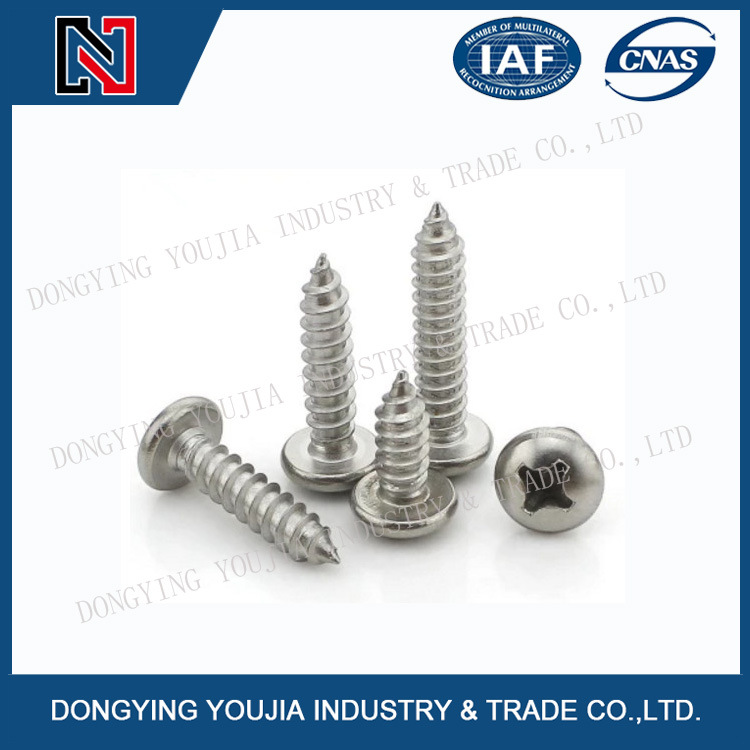 GB845 Stainless Steel Cross Recessed Pan Head Tapping Screw