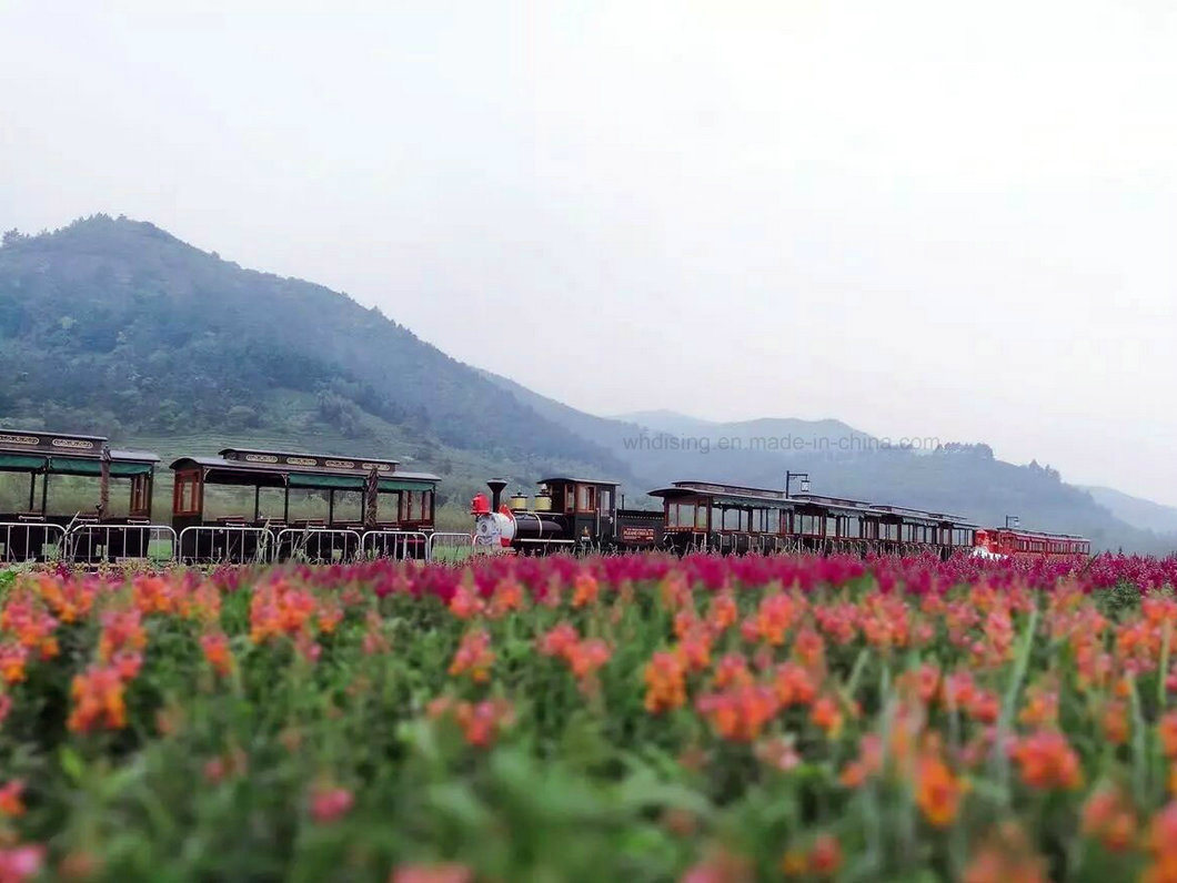 Classical Style Diesel Track Train for Amusement Park